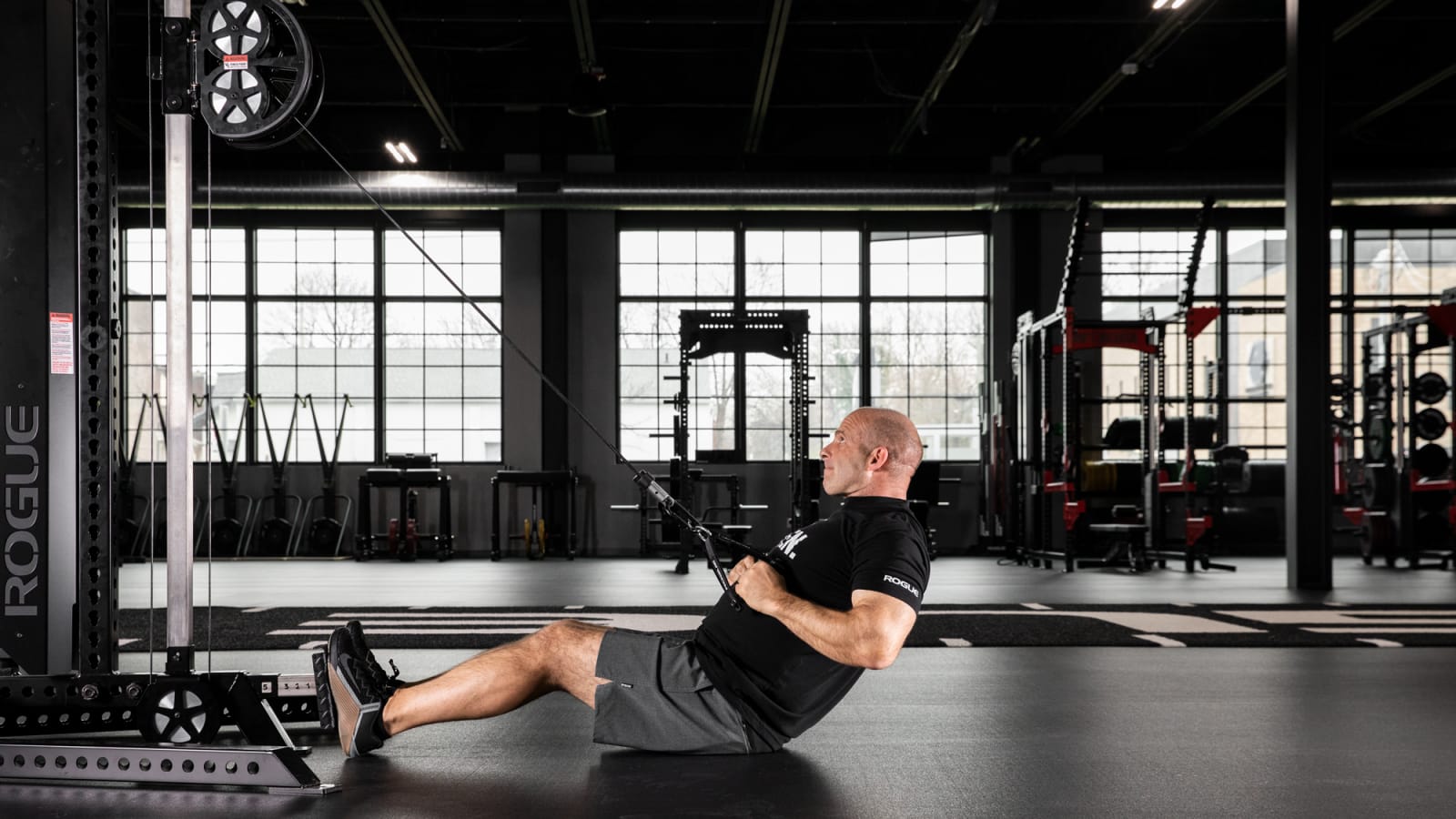 Rogue fitness cable store